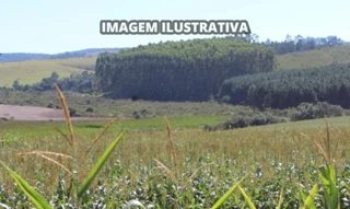 Área Rural em Itapeva/SP — leilão, lance R$ 2,8M